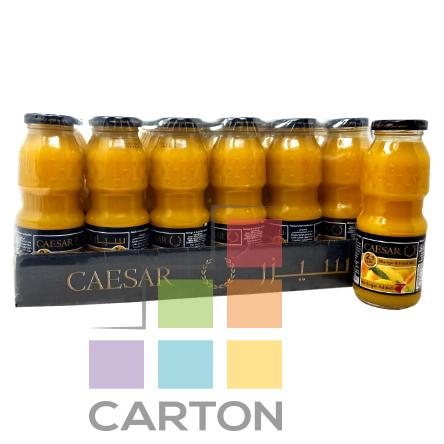 CAESAR BOTTLE MANGO JUICE 24*250ML
